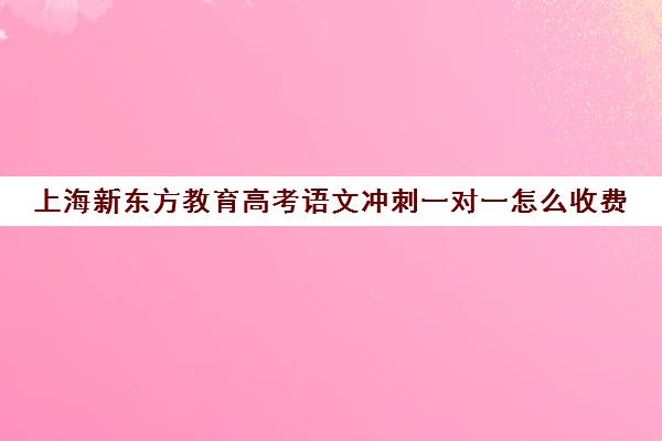 上海新东方教育高考语文冲刺一对一怎么收费(新东方高考复读班价格)