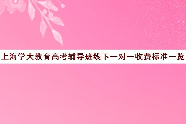 上海学大教育高考辅导班线下一对一收费标准一览表（一对一补课收费标准500）