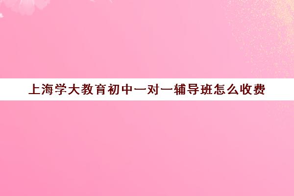 上海学大教育初中一对一辅导班怎么收费（上海初三一对一家教费用）