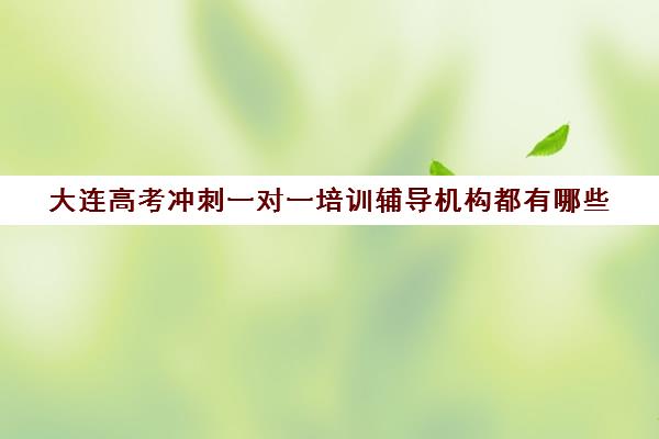 大连高考冲刺一对一培训辅导机构都有哪些(大连一对一补课收费标准)