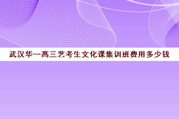 武汉华一高三艺考生文化课集训班费用多少钱(武汉最好的艺考培训)