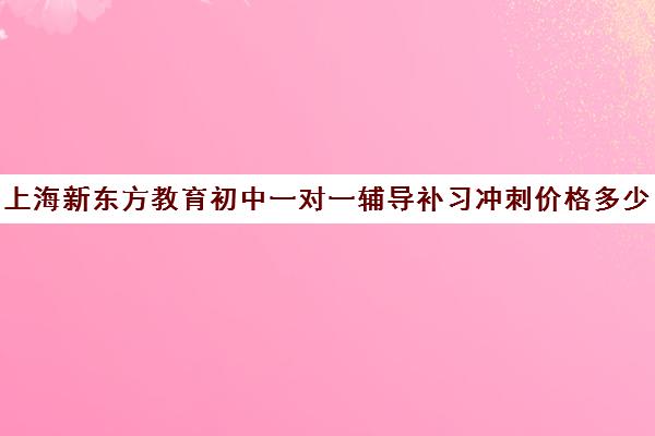 上海新东方教育初中一对一辅导补习冲刺价格多少钱