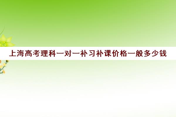 上海高考理科一对一补习补课价格一般多少钱