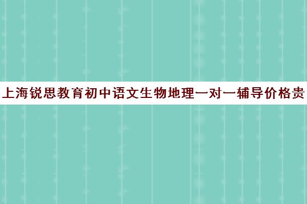 上海锐思教育初中语文生物地理一对一辅导价格贵不贵？多少钱一年（初中补英语哪家机构