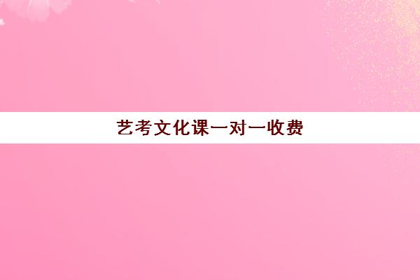 艺考文化课一对一收费(高考艺术生文化课培训哪里好)