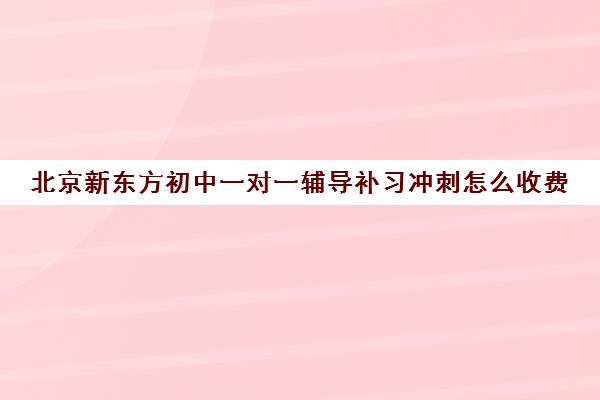 北京新东方初中一对一辅导补习冲刺怎么收费