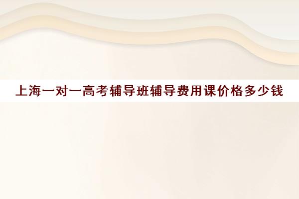 上海一对一高考辅导班辅导费用课价格多少钱(上海高中一对一补课多少钱一小时)