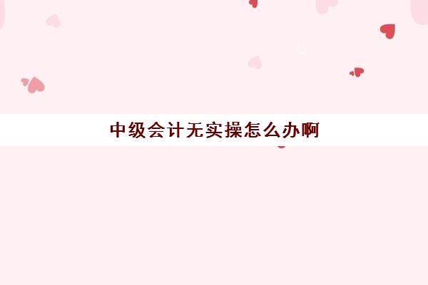 中级会计无实操怎么办啊(会计中级自学能过吗)