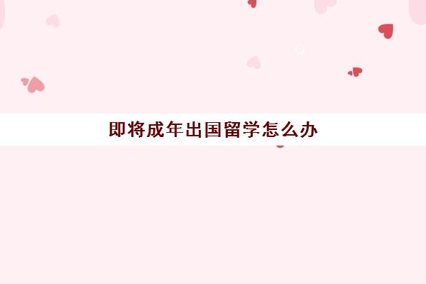 即将成年出国留学怎么办(17岁可以自己出国吗)