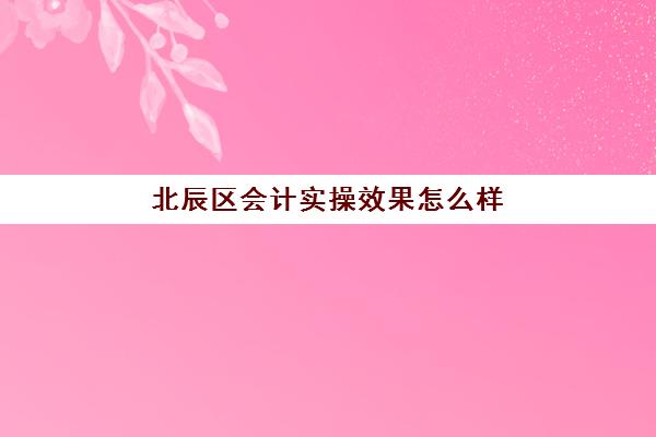 北辰区会计实操效果怎么样(会计一般几点上班)