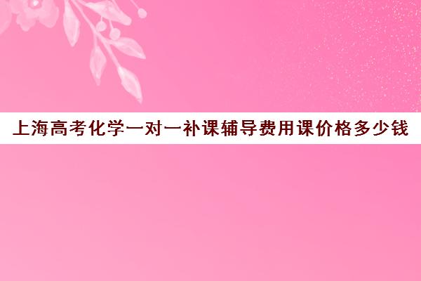 上海高考化学一对一补课辅导费用课价格多少钱(一对一补课收费标准)