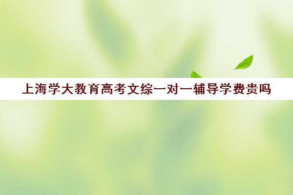 上海学大教育高考文综一对一辅导学费贵吗（上海高考补课机构排名）