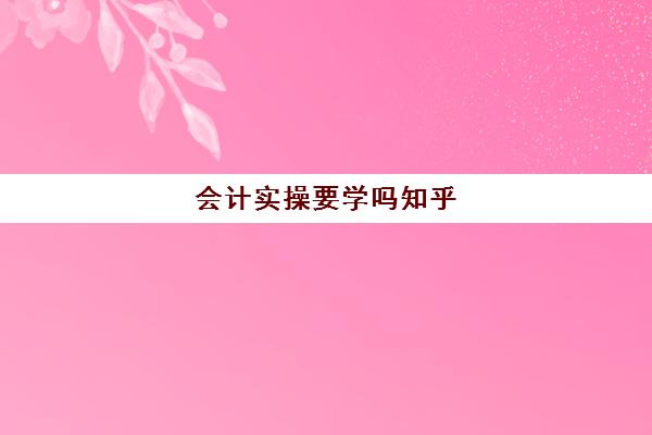 会计实操要学吗知乎(会计没人带能自学吗)