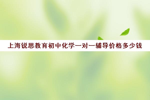 上海锐思教育初中化学一对一辅导价格多少钱（新东方初中一对一收费价格表）