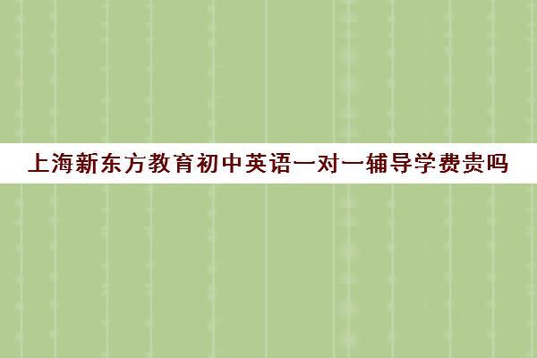 上海新东方教育初中英语一对一辅导学费贵吗(初中英语一对一怎么教)