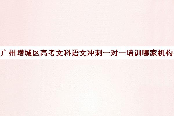 广州增城区高考文科语文冲刺一对一培训哪家机构好(广州高中补课机构排名)