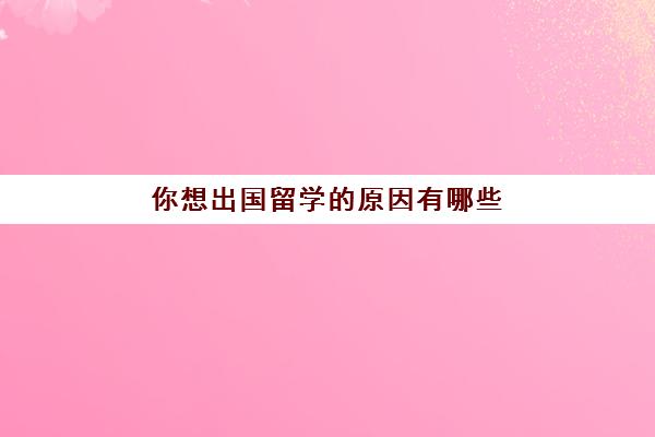 你想出国留学的原因有哪些(出国留学前突然不想去了)