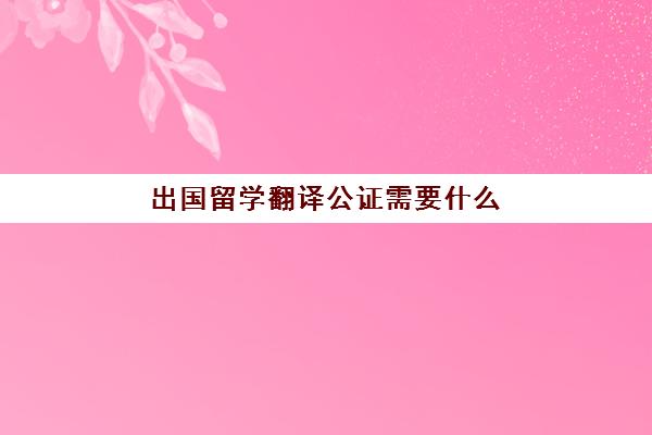 出国留学翻译公证需要什么(护照翻译公证)