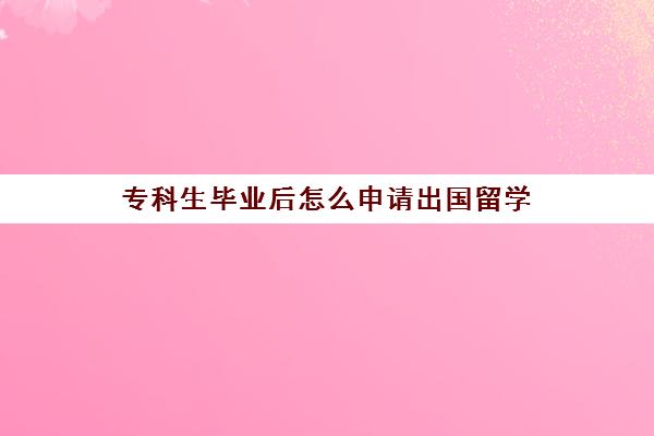 专科生毕业后怎么申请出国留学(三年国内大专一年出国本科)