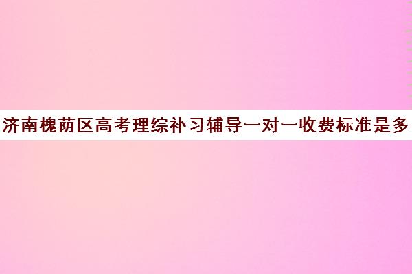 济南槐荫区高考理综补习辅导一对一收费标准是多少补课多少钱一小时