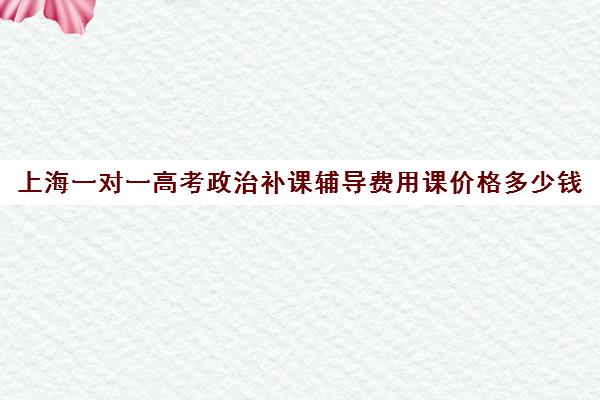 上海一对一高考政治补课辅导费用课价格多少钱(高一一对一补课有用吗)