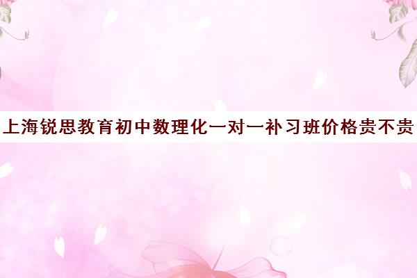 上海锐思教育初中数理化一对一补习班价格贵不贵？多少钱一年