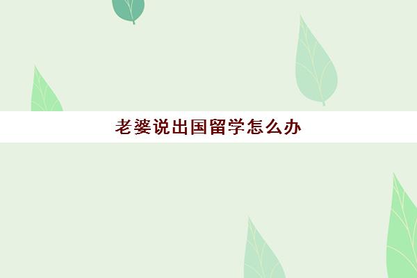 老婆说出国留学怎么办(去国外留学回来人变了)