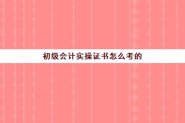 初级会计实操证书怎么考的(会计从业资格取消后会计证)