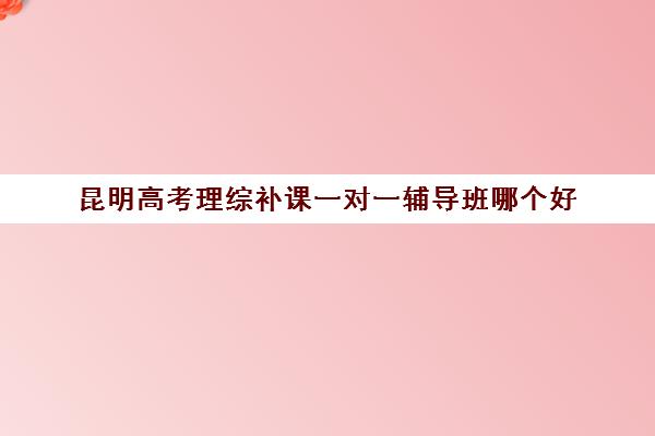 昆明高考理综补课一对一辅导班哪个好(高三物理一对一提分)