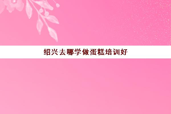 绍兴去哪学做蛋糕培训好(学蛋糕去培训班还是实体店好)