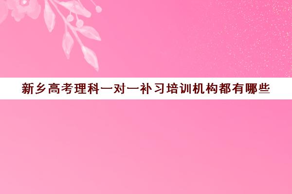 新乡高考理科一对一补习培训机构都有哪些