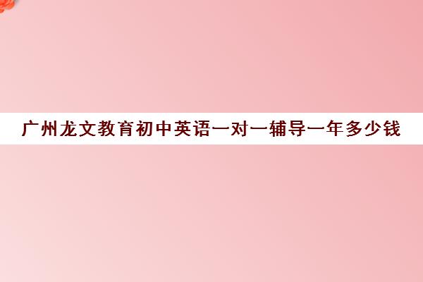 广州龙文教育初中英语一对一辅导一年多少钱(龙文一对一辅导怎么样)