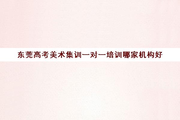 东莞高考美术集训一对一培训哪家机构好(东莞画室排名)