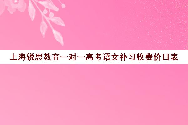 上海锐思教育一对一高考语文补习收费价目表