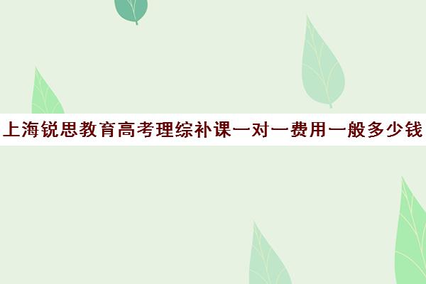 上海锐思教育高考理综补课一对一费用一般多少钱（上海补课机构排名）