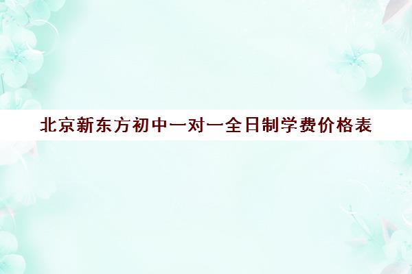 北京新东方初中一对一全日制学费价格表（新东方学校学费一年多少钱）