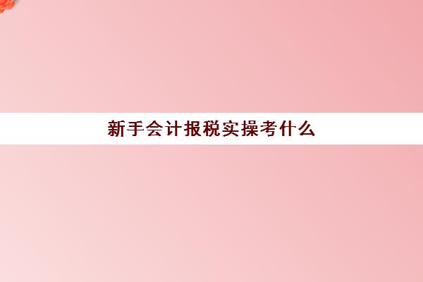 新手会计报税实操考什么(零基础学税务基础知识)