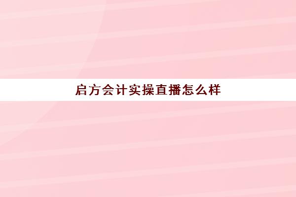 启方会计实操直播怎么样(会计开票新手教程)