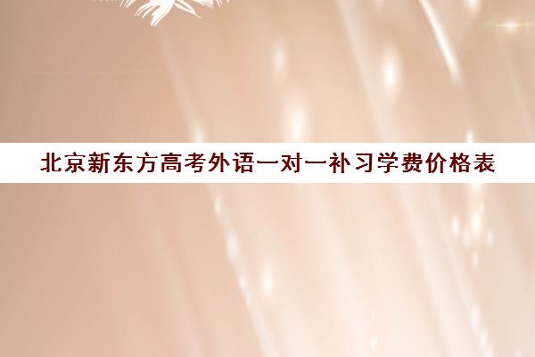 北京新东方高考外语一对一补习学费价格表