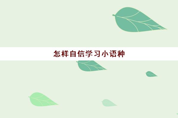 怎样自信学习小语种