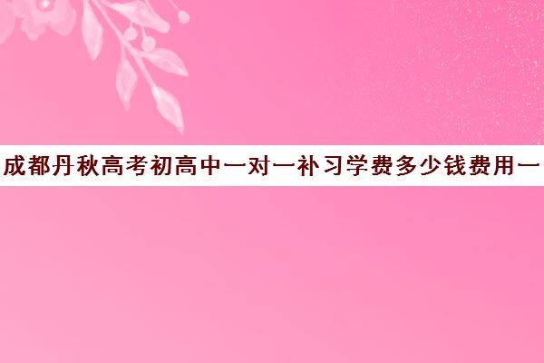 成都丹秋高考初高中一对一补习学费多少钱费用一览表