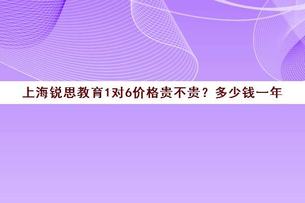 上海锐思教育1对6价格贵不贵？多少钱一年（上海一对一补课一般多少钱一小时）