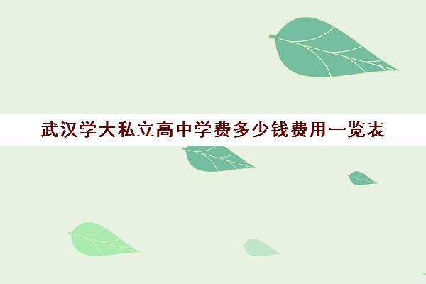 武汉学大私立高中学费多少钱费用一览表(私立小学学费)