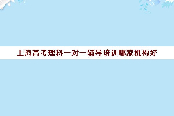 上海高考理科一对一辅导培训哪家机构好(上海高中一对一补课多少钱一小时)