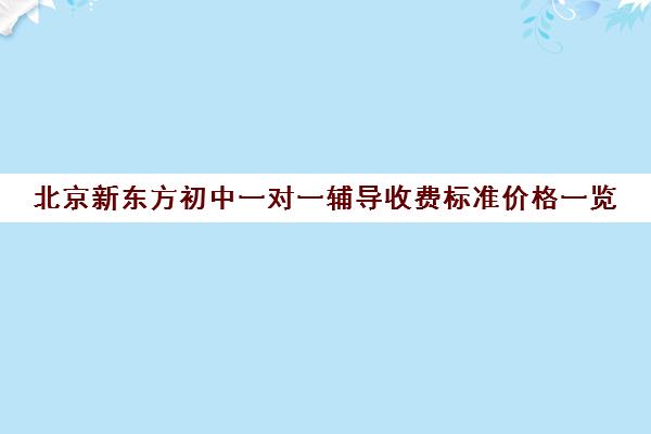 北京新东方初中一对一辅导收费标准价格一览（北京初中一对一补课价格）