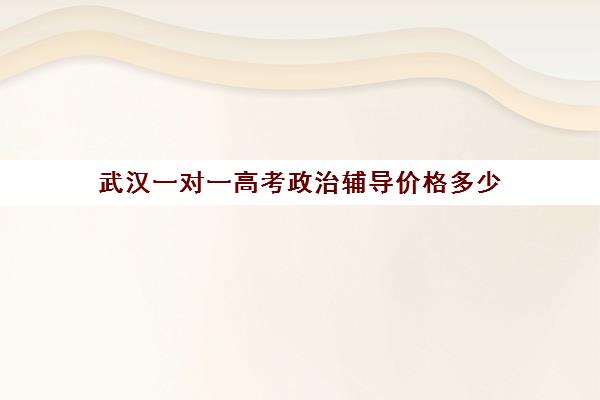 武汉一对一高考政治辅导价格多少(高三一对一辅导)