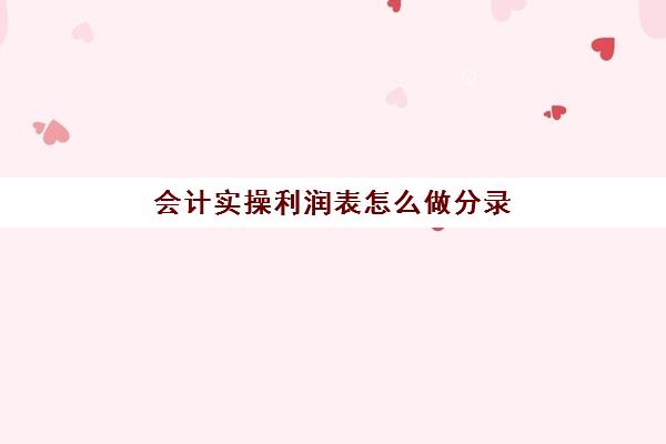 会计实操利润表怎么做分录(分配利润分录怎么做)