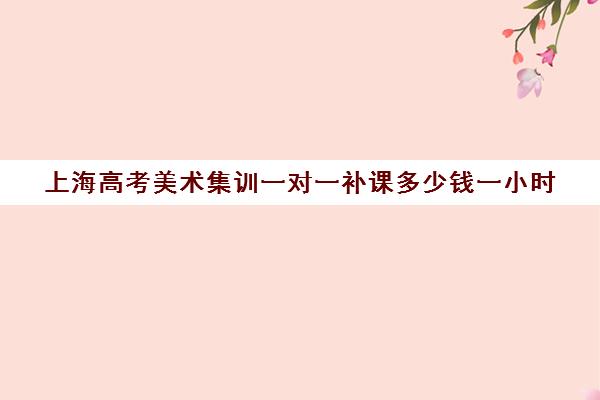 上海高考美术集训一对一补课多少钱一小时(一对一补课收费标准)