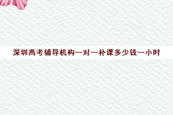 深圳高考辅导机构一对一补课多少钱一小时(深圳补课机构有哪些)