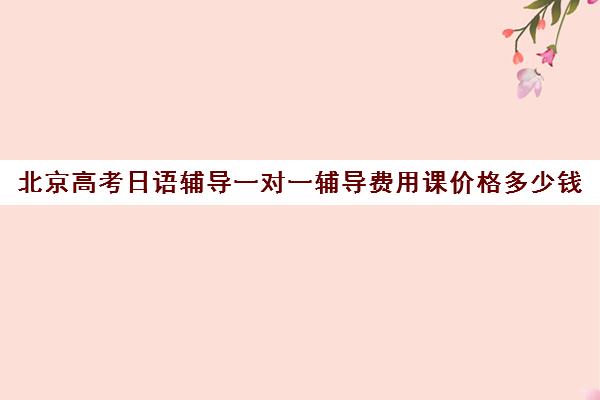 北京高考日语辅导一对一辅导费用课价格多少钱(学高考日语一般多少钱)